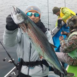 丸万釣船 釣果