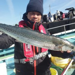 丸万釣船 釣果