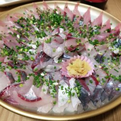 Soyamaru 釣果