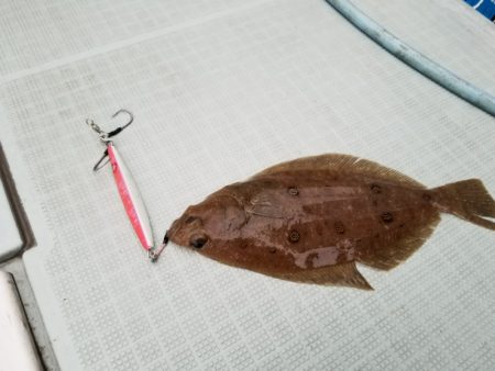 アマテラス 釣果