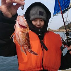 遊漁船　家入 釣果