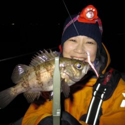 Chase（チェイス） 釣果