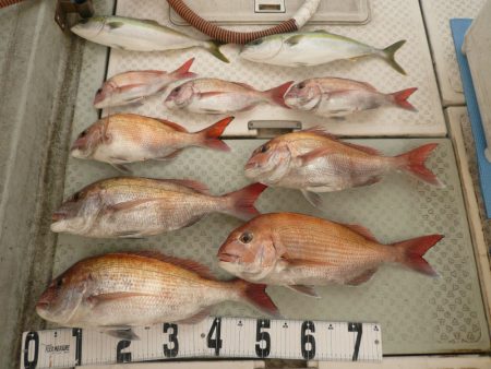 オーシャンスター(Ocean Star) …