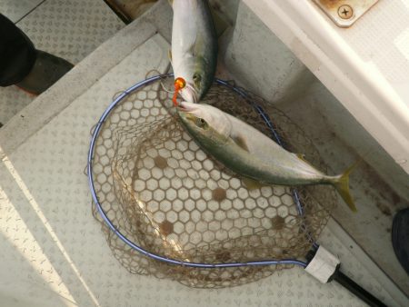 オーシャンスター(Ocean Star) 釣果