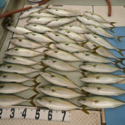 オーシャンスター(Ocean Star) 釣果