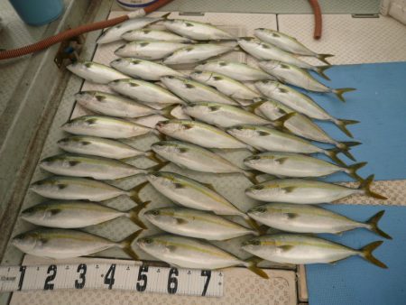 オーシャンスター(Ocean Star) …