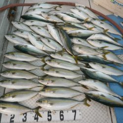 オーシャンスター(Ocean Star) 釣果