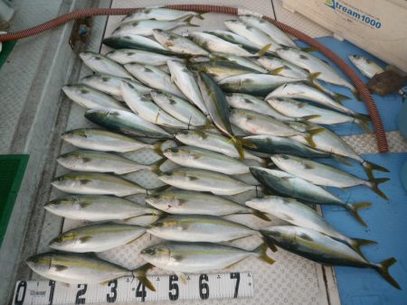 オーシャンスター(Ocean Star) …