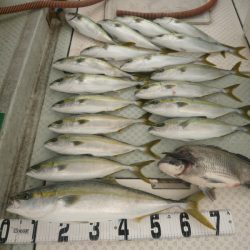 オーシャンスター(Ocean Star) 釣果