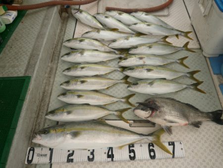 オーシャンスター(Ocean Star) …