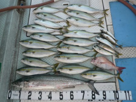 オーシャンスター(Ocean Star) …