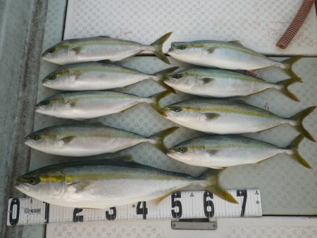 オーシャンスター(Ocean Star) …