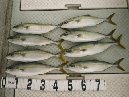 オーシャンスター(Ocean Star) …