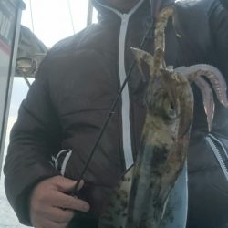 シースナイパー海龍 釣果