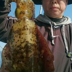 シースナイパー海龍 釣果