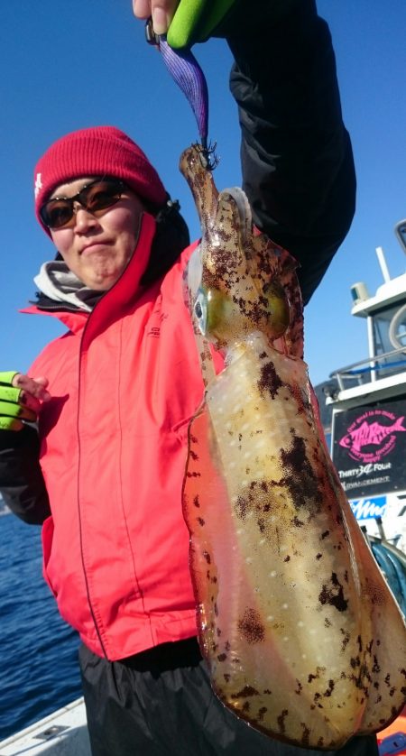 シースナイパー海龍 釣果