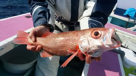 ぽん助丸 釣果