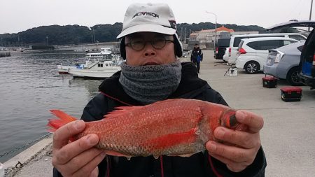 ぽん助丸 釣果