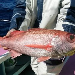 ぽん助丸 釣果