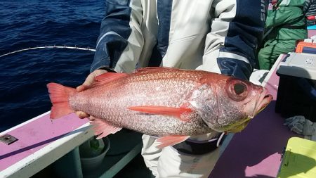 ぽん助丸 釣果