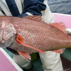 ぽん助丸 釣果