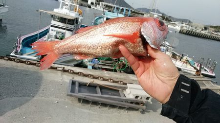 ぽん助丸 釣果