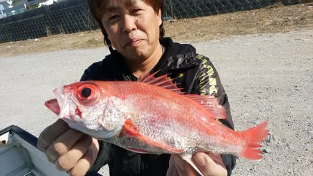 ぽん助丸 釣果