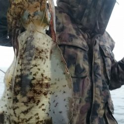 シースナイパー海龍 釣果