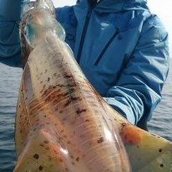 シースナイパー海龍 釣果