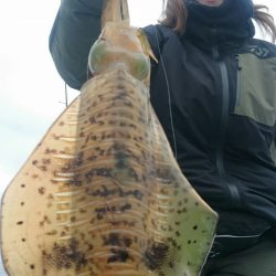 シースナイパー海龍 釣果