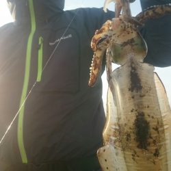 シースナイパー海龍 釣果