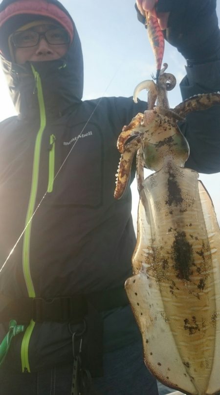 シースナイパー海龍 釣果