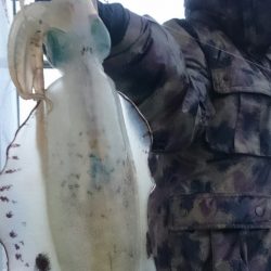 シースナイパー海龍 釣果