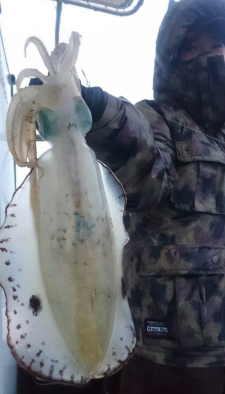 シースナイパー海龍 釣果