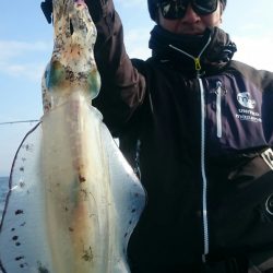 シースナイパー海龍 釣果