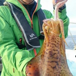 シースナイパー海龍 釣果