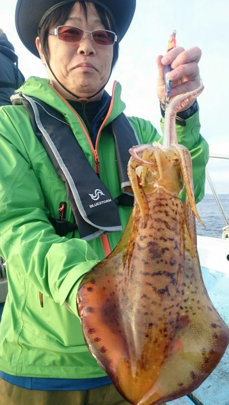 シースナイパー海龍 釣果