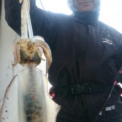 シースナイパー海龍 釣果