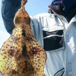 シースナイパー海龍 釣果