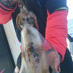 シースナイパー海龍 釣果