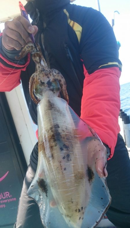 シースナイパー海龍 釣果