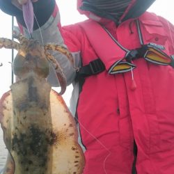 シースナイパー海龍 釣果