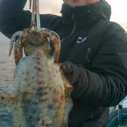 シースナイパー海龍 釣果