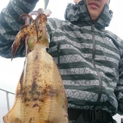 シースナイパー海龍 釣果