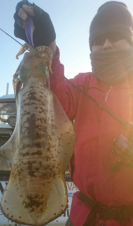 シースナイパー海龍 釣果