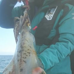 シースナイパー海龍 釣果