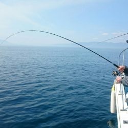 シースナイパー海龍 釣果