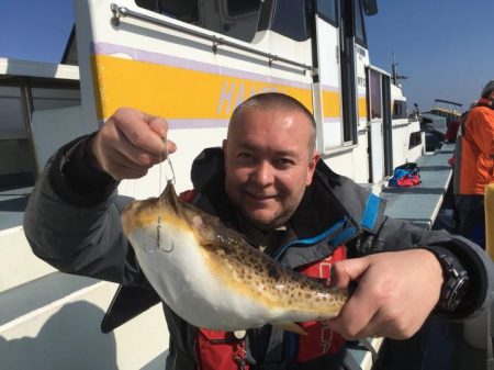 えさ政釣船店 釣果