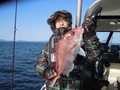 釣船　キティ 釣果