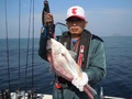 釣船 キティ 釣果